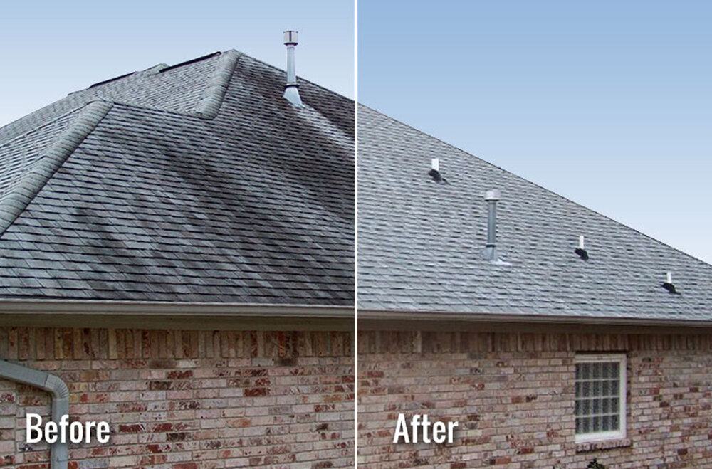 Shingle Roof Cleaning